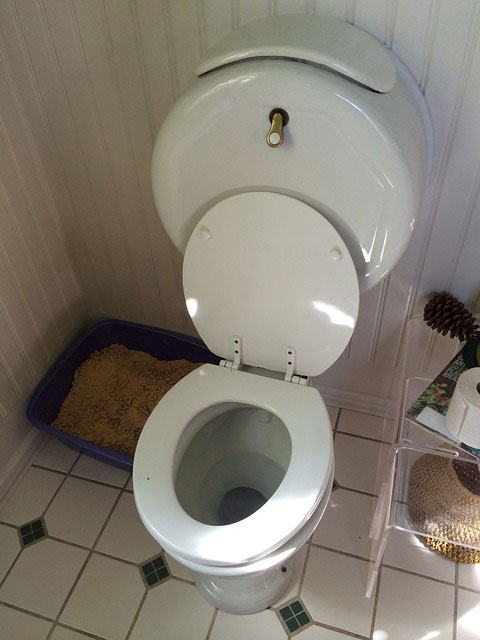 Toilet repair and installation